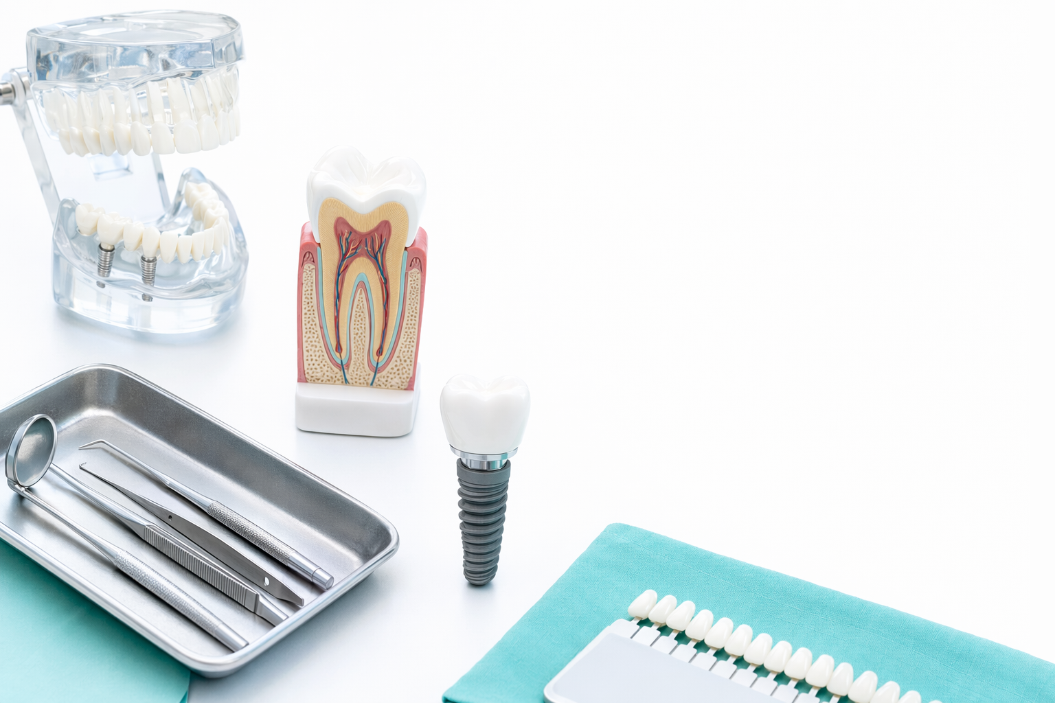 Clean dental-implant educational models